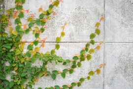 découvrez le béton vert, une solution innovante et écologique pour vos projets de construction. respectueux de l'environnement, ce matériau durable réduit l'empreinte carbone tout en offrant robustesse et esthétisme. adoptez une démarche responsable avec le béton vert.