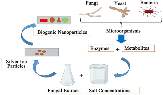 découvrez les nanomatériaux écologiques, des innovations durables qui révolutionnent les secteurs de l'industrie et de l'environnement. apprenez comment ces matériaux nanoscale contribuent à la protection de la planète tout en offrant des solutions performantes et respectueuses de l'écosystème.