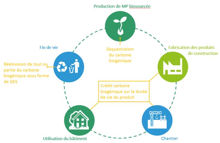 découvrez le marché des matériaux de construction bas carbone, une alternative durable pour réduire l'impact environnemental de vos projets. explorez les innovations et les solutions écologiques pour bâtir un avenir plus vert.