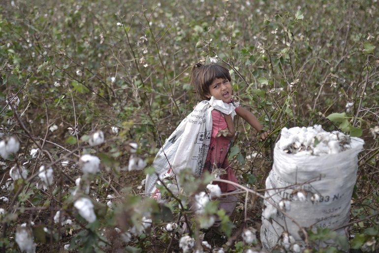 discover the benefits of the trade agreement between india and sustainable cotton and wool producers. explore how this collaboration promotes ethical and sustainable practices, while supporting the local economy.