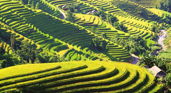 découvrez nos projets de construction de logements à ha giang, alliant modernité et respect de l'environnement. profitez d'un cadre de vie agréable et d'infrastructures de qualité dans cette région magnifique du vietnam.