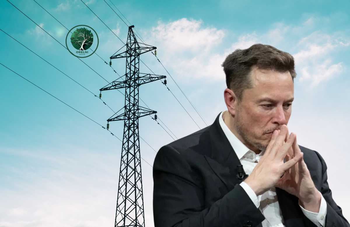 découvrez comment elon musk influence le secteur des énergies renouvelables grâce à ses innovations et ses entreprises comme tesla et solarcity. plongez dans l'avenir durable avec des solutions énergétiques révolutionnaires et un engagement envers un monde plus vert.