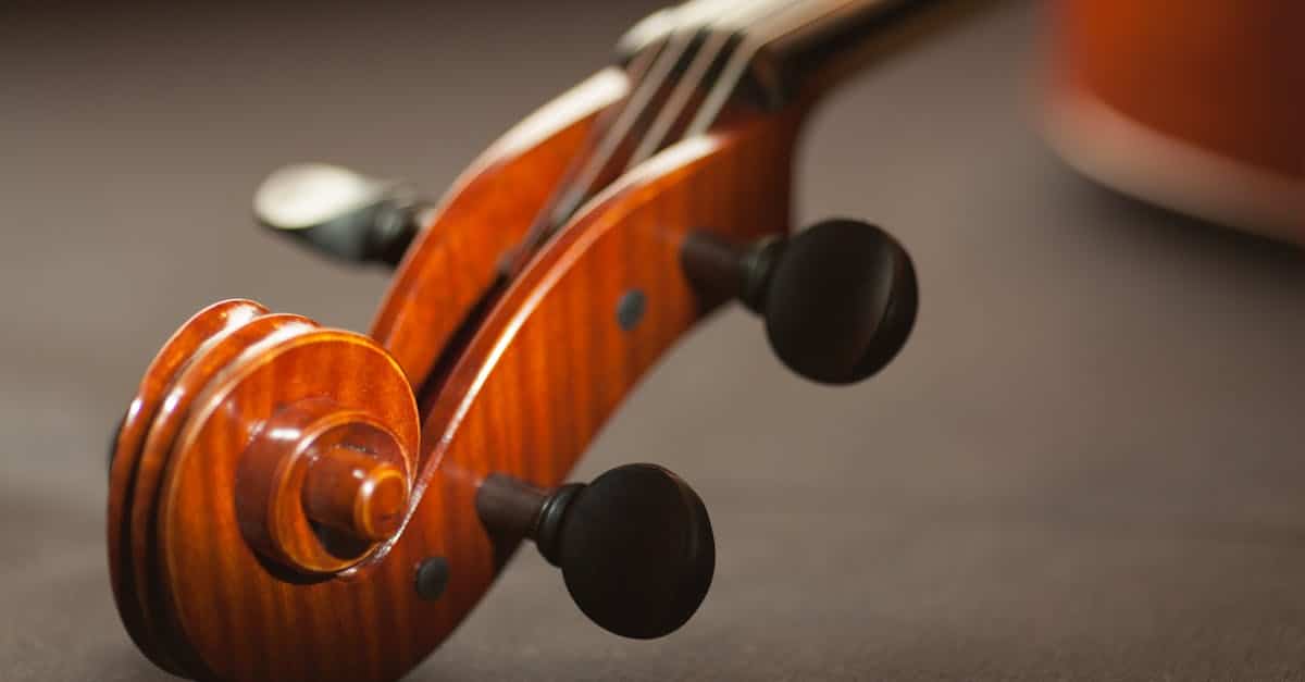 discover the incredible 3D-printed violin, combining innovation and musical art. explore its unique features, modern design, and how this technology is revolutionizing the manufacturing of musical instruments.