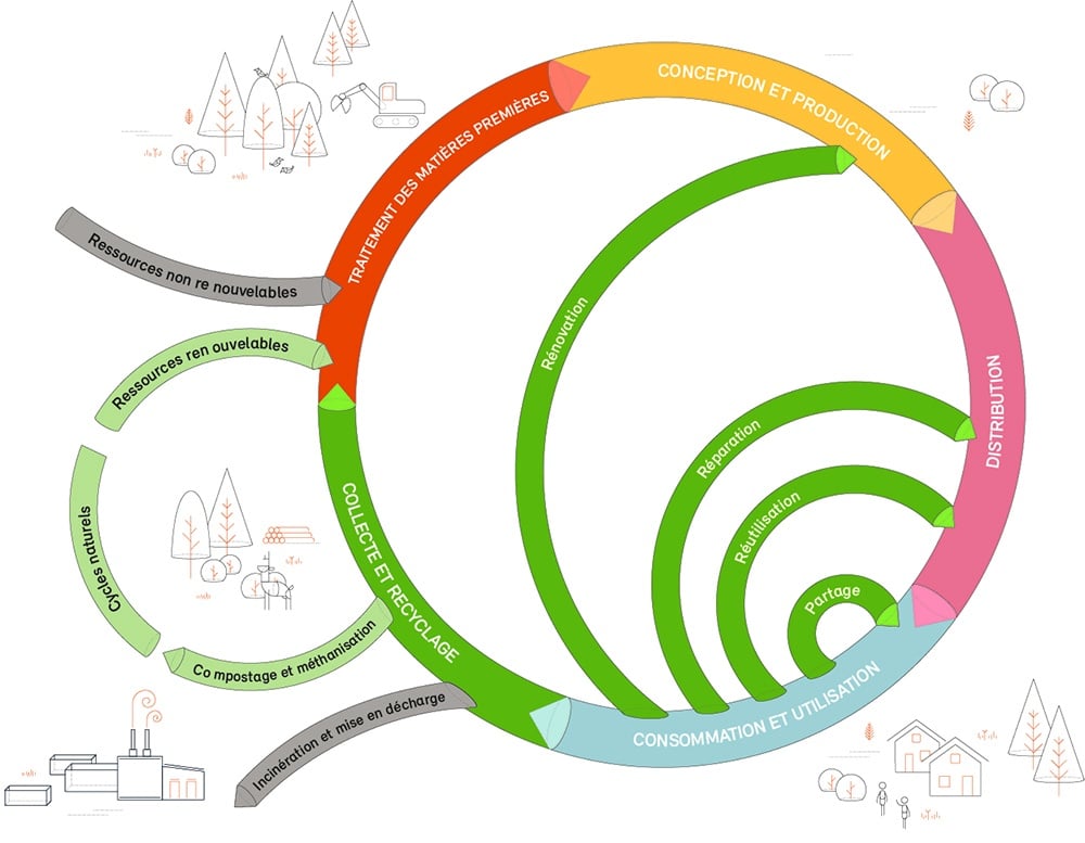 discover how the circular economy transforms our way of consuming and producing. learn sustainable strategies to reduce waste, maximize resources, and protect our planet while fostering innovation and economic growth.