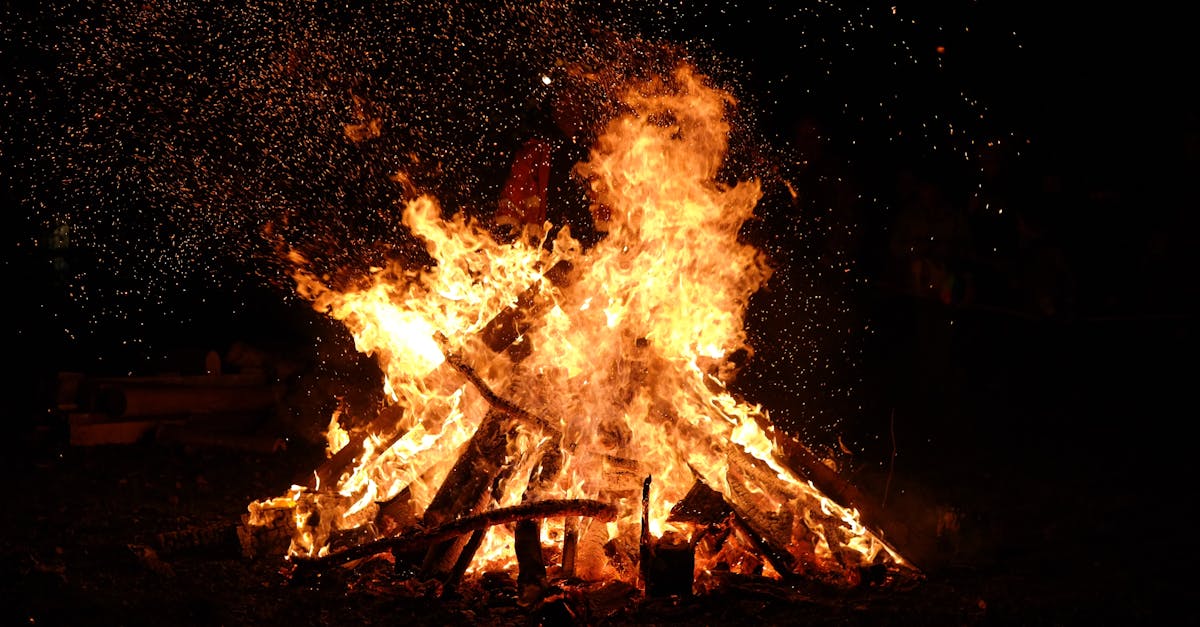 découvrez les histoires poignantes des victimes des incendies de forêt et comment ces tragédies ont impacté des vies. apprenez-en davantage sur les efforts de soutien et de rétablissement pour aider ceux touchés par ces catastrophes dévastatrices.