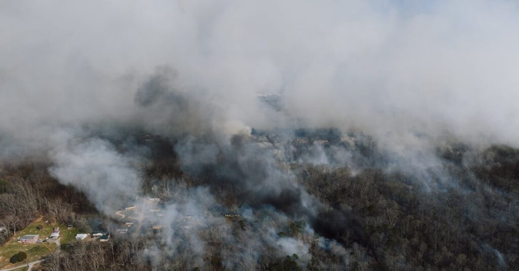 découvrez comment soutenir les victimes des incendies de forêt et contribuer à leur rétablissement. informez-vous sur les actions à entreprendre et les ressources disponibles pour aider celles et ceux touchés par cette tragédie.