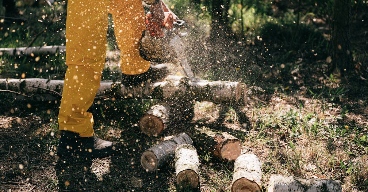découvrez notre sélection de tronçonneuses performantes et fiables, idéales pour vos projets de jardinage, d'aménagement forestier ou de construction. profitez de conseils d'experts pour choisir la tronçonneuse qui répondra à vos besoins.